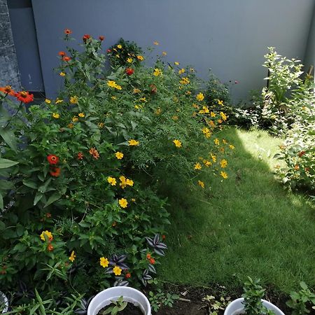 Aashiyana Home Stay โบปาล ภายนอก รูปภาพ